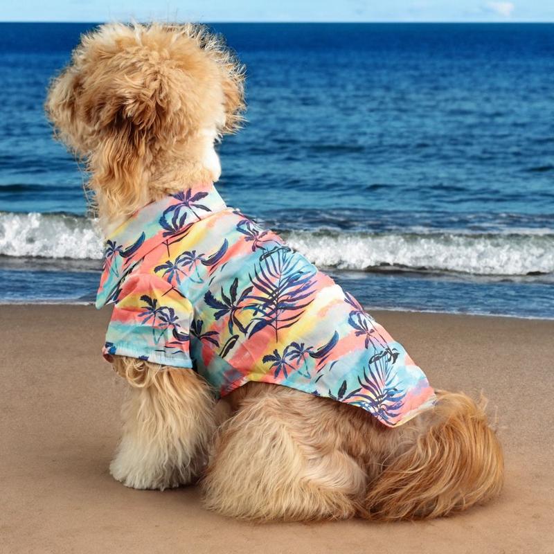 Product Introduction of Pet Products Hawaii Style Summer Dog Shirt Cute Colorful Pet Shirt Comfortable Coconut Tree Printed Cool Thin Cat Shirt for Small Medium Large Dog 9