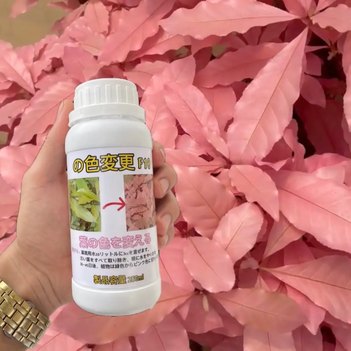 Sản phẩm đổi màu lá cho cây F10