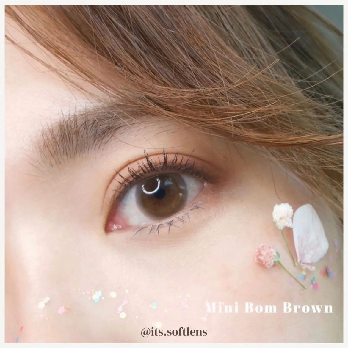 Softlens Mini Bom Brown Coklat Natural Korean Kitty Kawaii Normal Bisa Minus Free Lens Case Trendy Monthly Replace