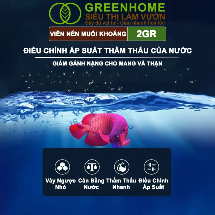 [Hàng tặng] Muối Khoáng Viên Nén Greenhome, YEE, Viên 2gr, Viên Ngẫu Nhiên 1