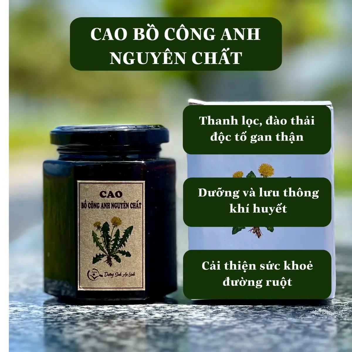 Cao Bồ Công Anh Nguyên Chất 200gr - Qhome Dưỡng Sinh An Lành