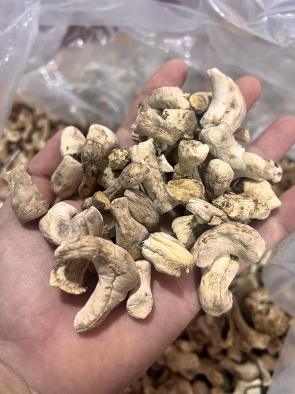 500G Chân Nấm Hương Khô hút chân không Ẩm Thực Chay Tịnh Tâm.