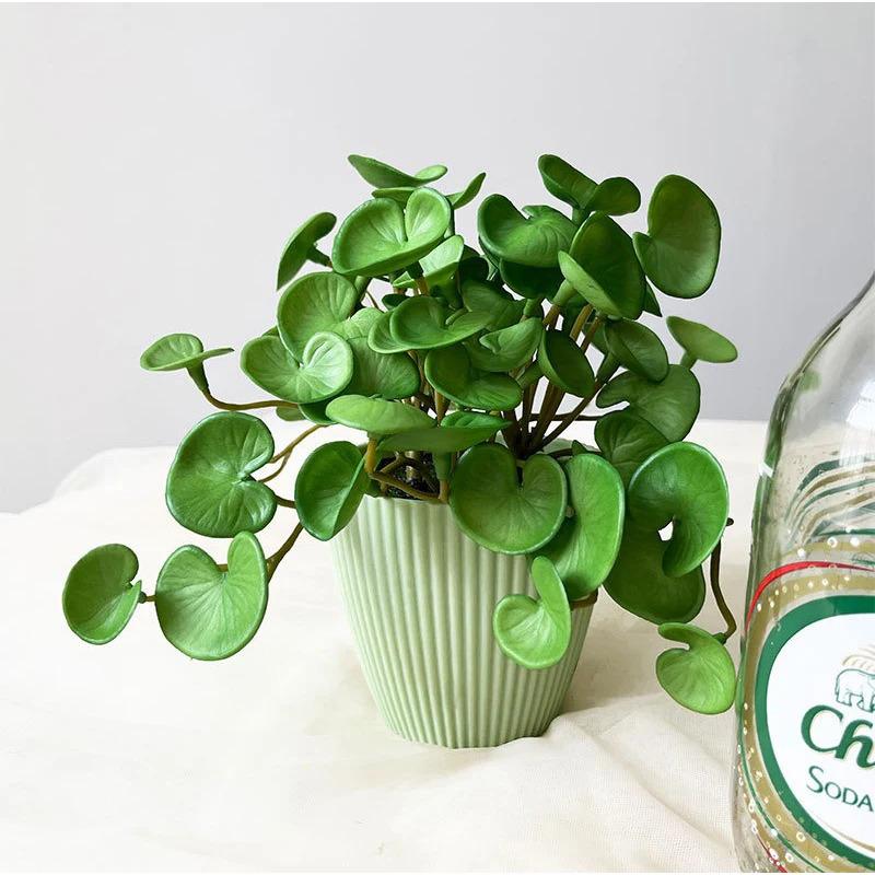Product Introduction of Artificial Plant Mini Bouquet Copper Coin Grass Soft Glue Fake Green Plants Wall Hanging For Home Office Garden Decoration Decorative Fruit Ornaments Light 19
