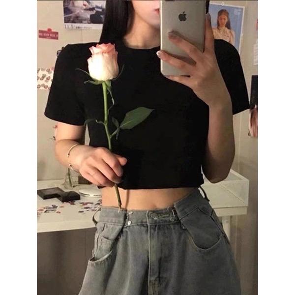 Áo thun croptop sang chảnh