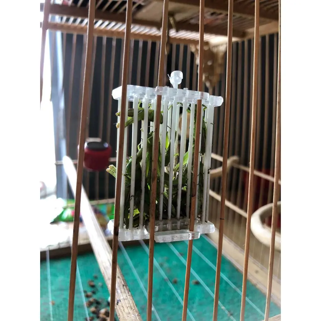 Rọ đựng cào cào, rọ đựng dế cào cào cáp quang