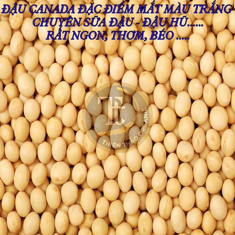 500GR ĐẬU NÀNH - ĐỖ TƯƠNG LÀM SỮA - ĐẬU HŨ MẦM ĐẬU... THIÊN THẢO ORGANIC Nuts Food Thức Ăn