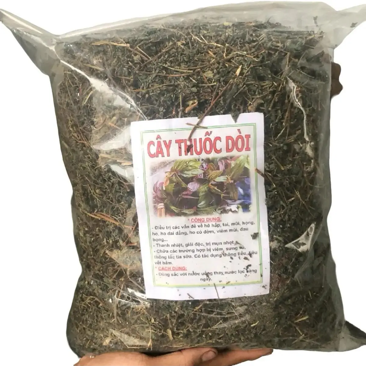 Cây Thuốc Dồi - Bọ Mắm hàng loại 1 ( Túi 1kí)