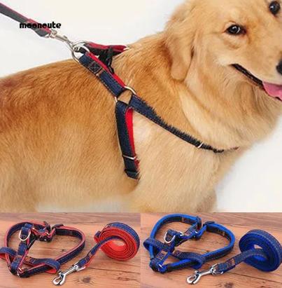 Dây Dắt Chó Mèo Thú Cưng Kèm Đai Yếm - Nhiều Cỡ cho Chó Nhỏ Và Lớn Vải Jean Denin