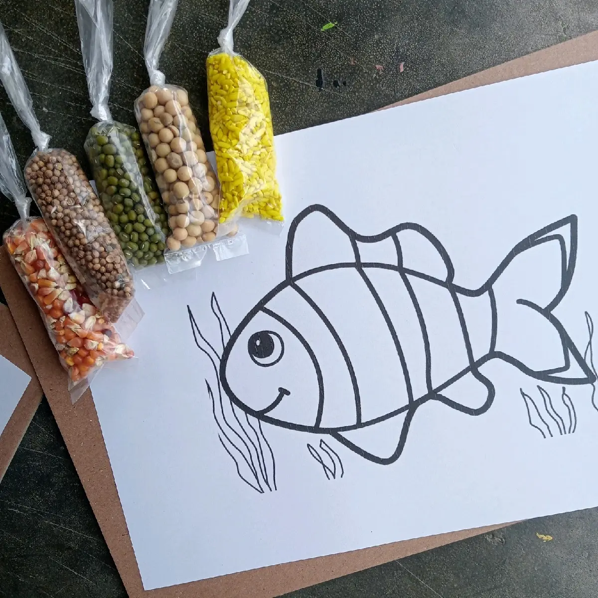 paket biji-bijian kolase biji-bijian (bahan)