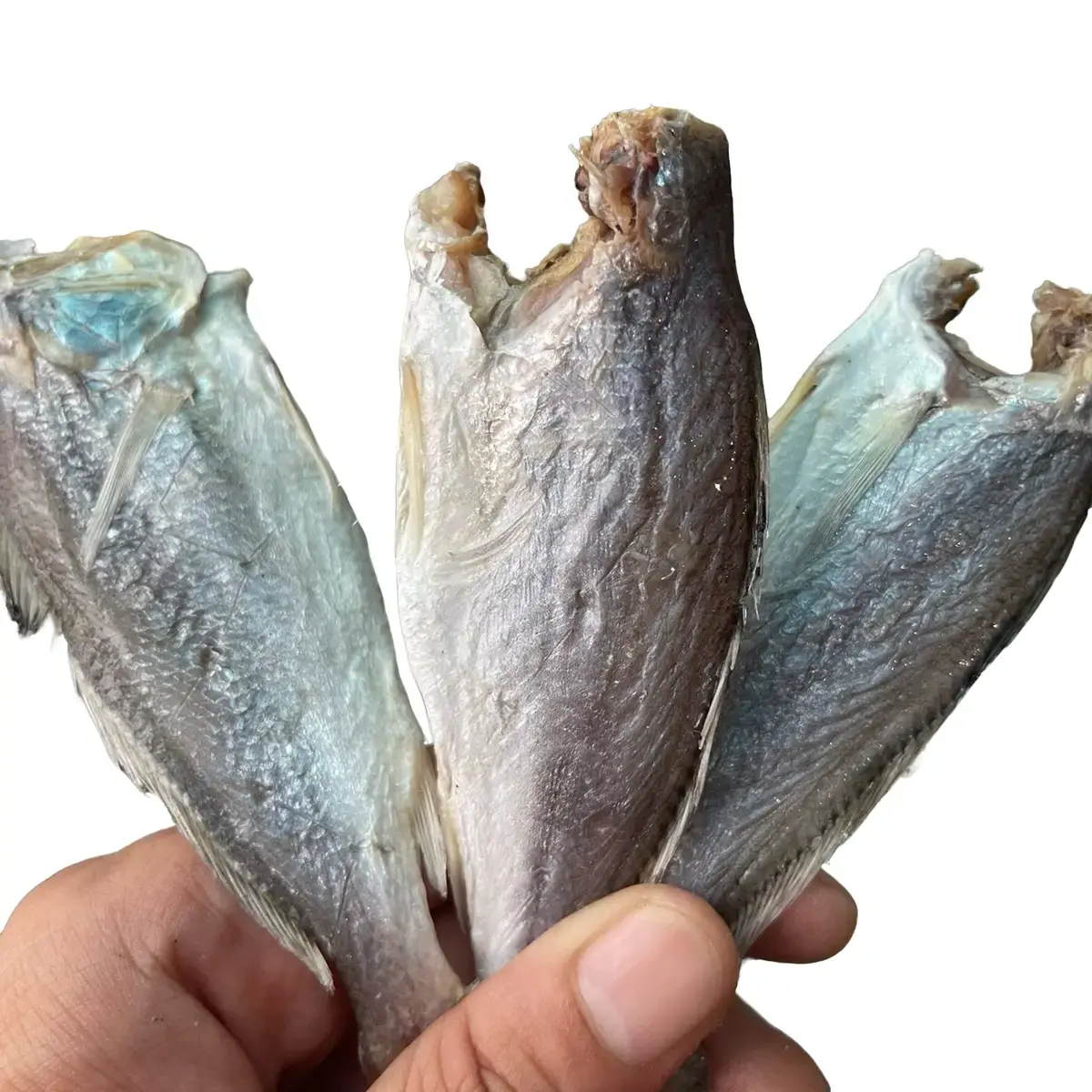 500.gram khô cá đù lớn vị mặn ăn cơm size 14-18 con Food (quý khách ăn lạc nên ngâm nước 30-40 phút trước khi chiên.