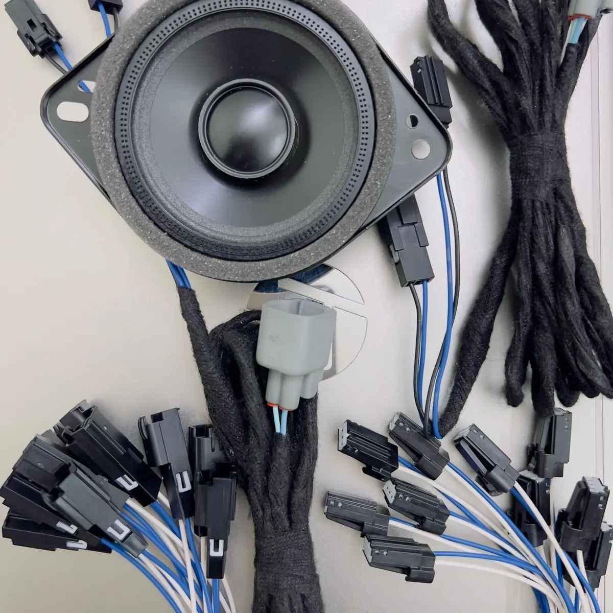 Bộ loa B&O Combo Loatrungtam Ford 2023 - Dưỡng, dây giắc [Hàng Chính Hãng]