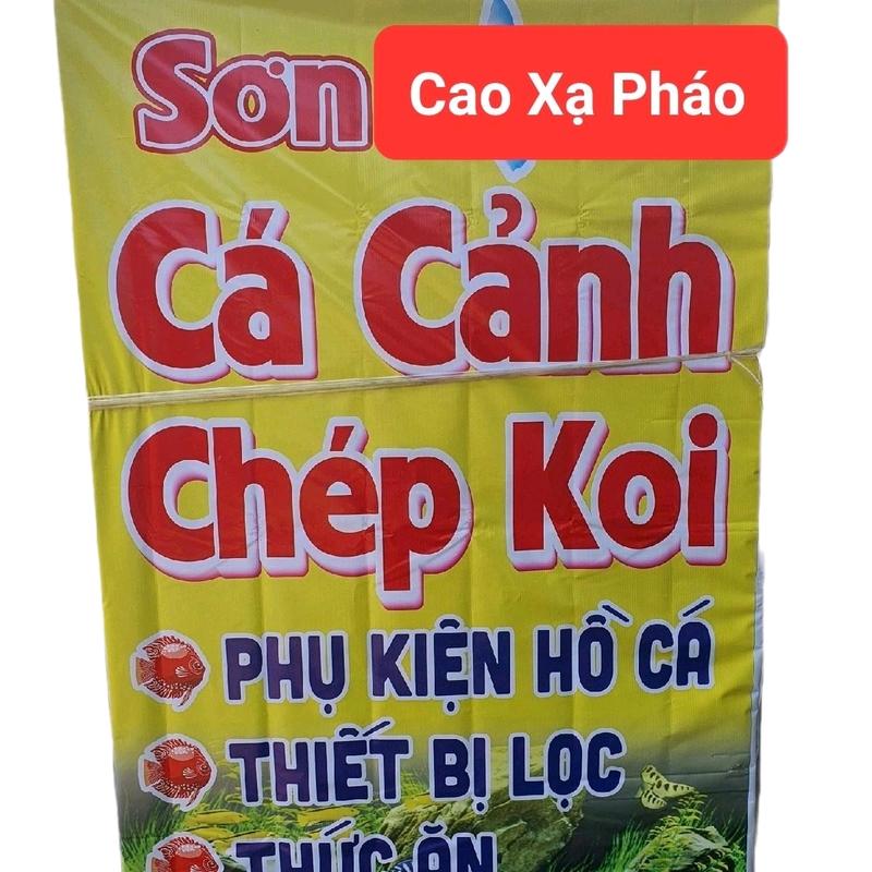 Decan ( KIM NGÂN, KIM SƠN ) hình quảng cáo siêu kute Decor Decal ( Cá cảnh ) 3