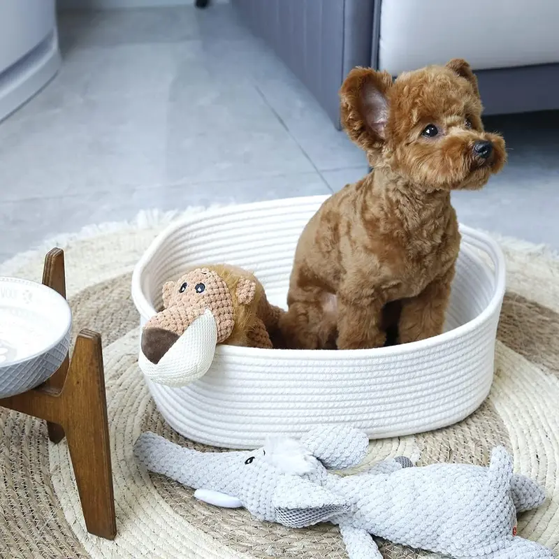 Woven Storage Basket, 1 Count Round Storage Basket with Handle, Durable Cosmetic Basket, Snack Basket, Home Organizer for Bathroom, Bedroom, Living Room, Balcony 7