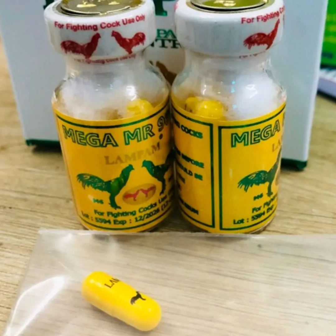 1 viên công vàng mr9600 giúp gà tải cựa lỳ đòn tăng lực