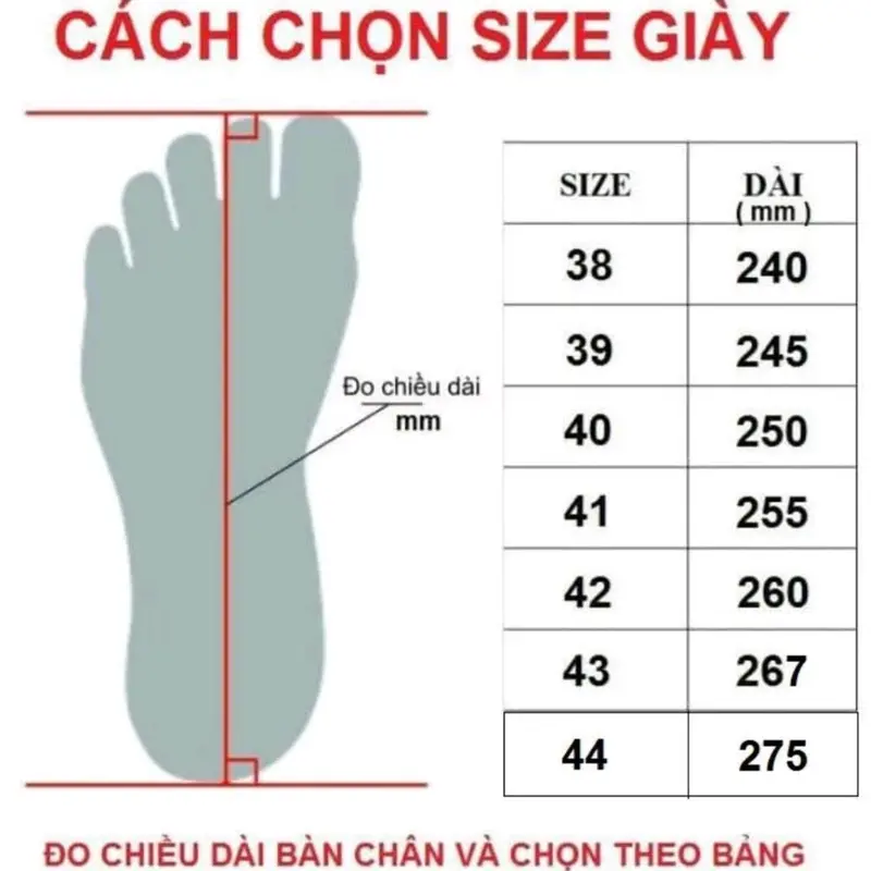 Giày Cầu Lông Nam Nữ -Badminton Sneaker Sport Tập Thể Dục 8