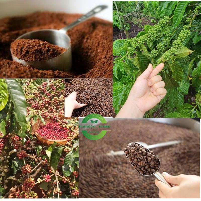 Combo 2 gói cà phê chồn nâu Bảo Tín mã Moka I 2 gói màu cam và 2 gói chồn nâu đen truyền thống mỗi gói (500g) Coffee Cafe 3