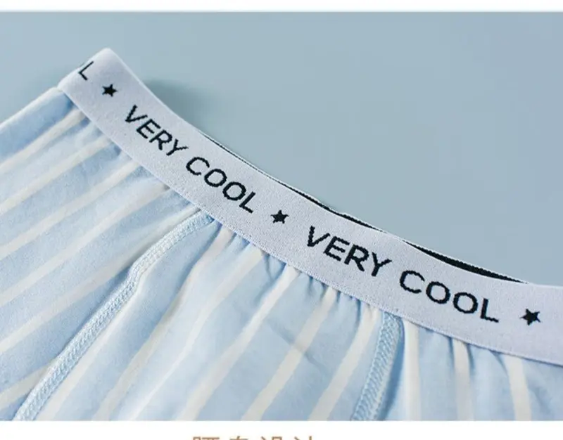 Combo 4 chíp đùi bé trai chất cotton cho học sinh từ 9-42kg 8