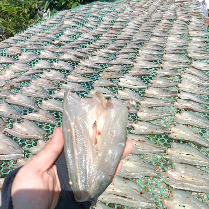 500gram- Khô cá lóc đồng Thiên nhiên hàng hai nắng, vị ít mặn vừa ăn, túi 500gram 3