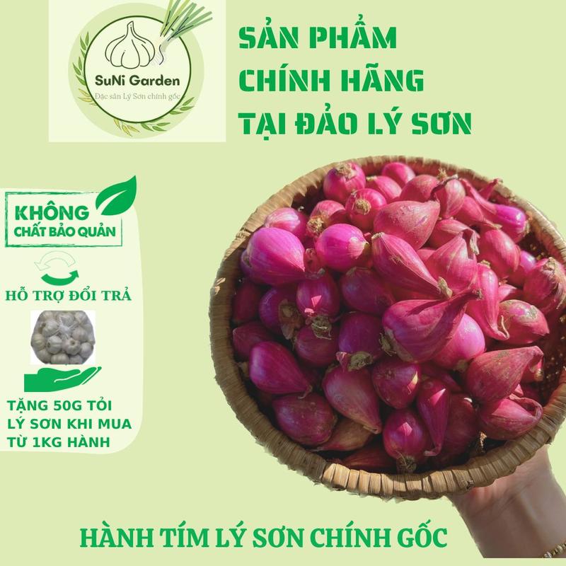 HÀNH TÍM LÝ SƠN SUNI BỊCH LƯỚI 1KG - ĐẶC SẢN LÝ SƠN CHÍNH GỐC Gia Vị