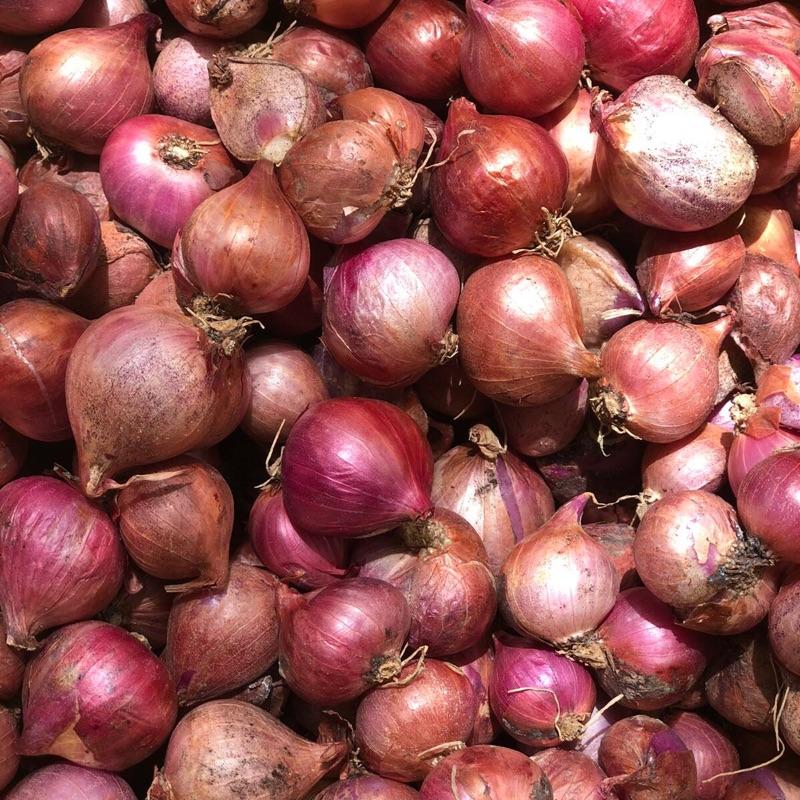 Hành Tím Vĩnh Châu.Hành rời 1kg.. 2