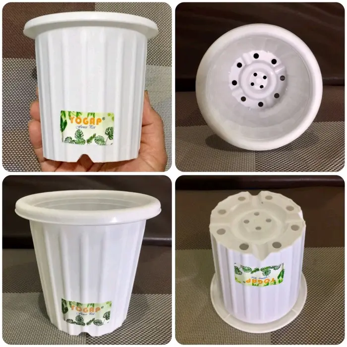 Paket pot 50 murah meriah dan bagus