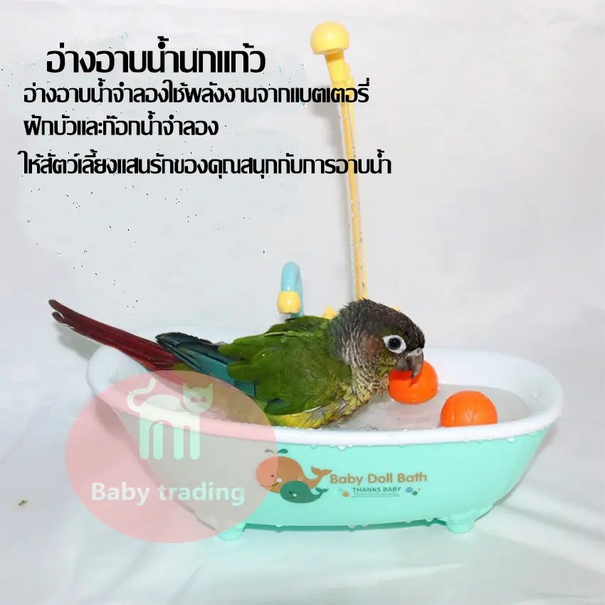 ของเล่นนกแก้วอ่างอาบน้ำนกแก้วอุปกรณ์นกแก้วนกแก้วนกแก้วอาบน้ำอ่างอาบน้ำภายนอกอ่างสัตว์เลี้ยง