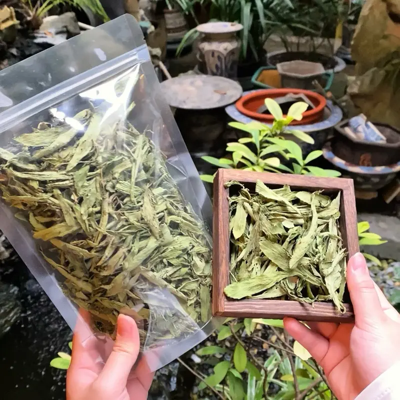 Lá Cỏ Ngọt Sấy Khô - Hàng đẹp nguyên lá - Túi 100g - 200g - 500g Nước Trà Tea Chè Trà 7