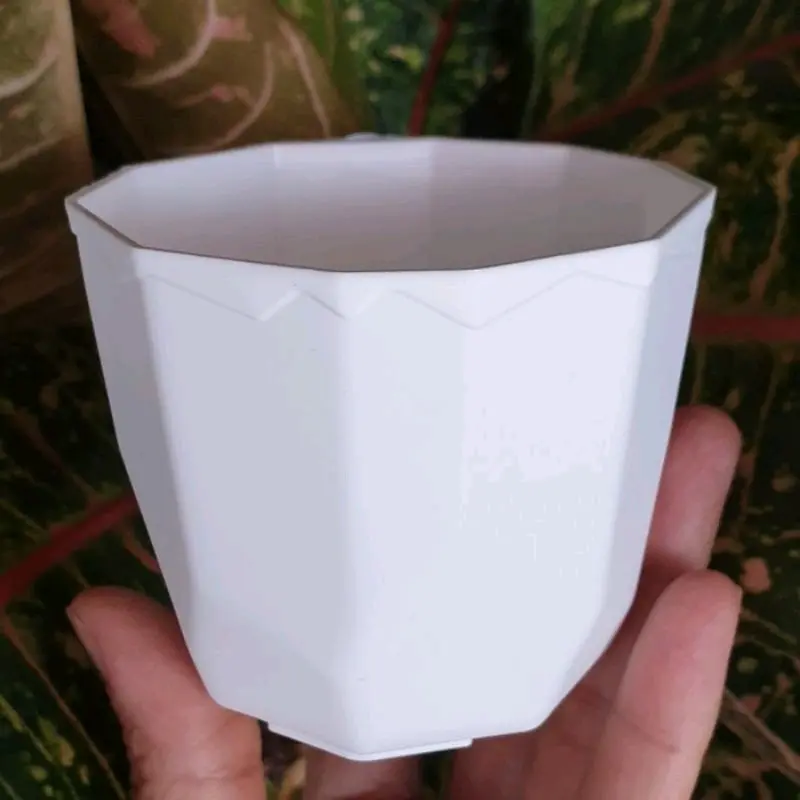 (1pcs) Pot Permata Putih 8 cm Pot Bunga Kaktus Sukulen Pot Mini 8 cm 0