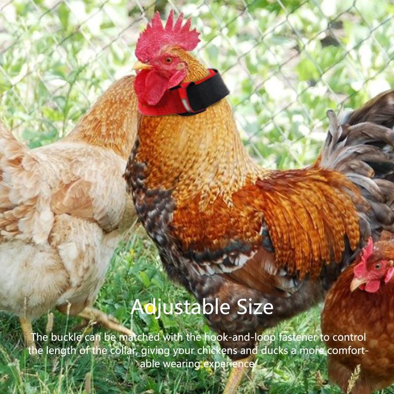 Rooster Collar 4pcs Stop Crowing Collars Nylon Dog Colla - TikTok Shop ...