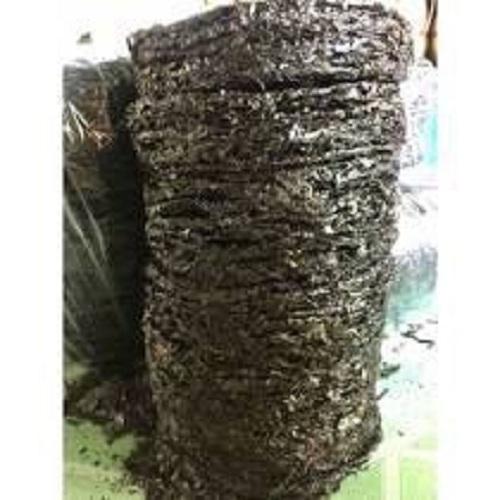 Rong Mứt Nha Trang - Rong Biển Khô NGuyên Chất 100gram - Túi Zip Hút Chân Không - Thanh Mát Giải Nhiệt - Bổ Sung Vitamin - Tiện Dụng Cho Người Mới Dùng