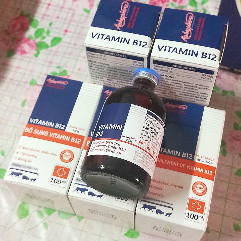 [Lọ 100ml] Vitamin B12 Thuốc tiêm còi cọc, biếng ăn, bổ máu trên gia súc, gia cầm kabi 5