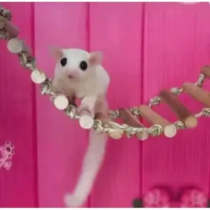 Mainan Hamster Tangga Tali