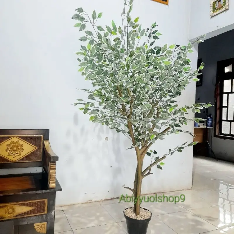 NEW ARRIVAL Pohon Hias Artificial Beringin Varigata 2 batang pohon Daun Rimbun Lebat || Natural Aesthetic 2