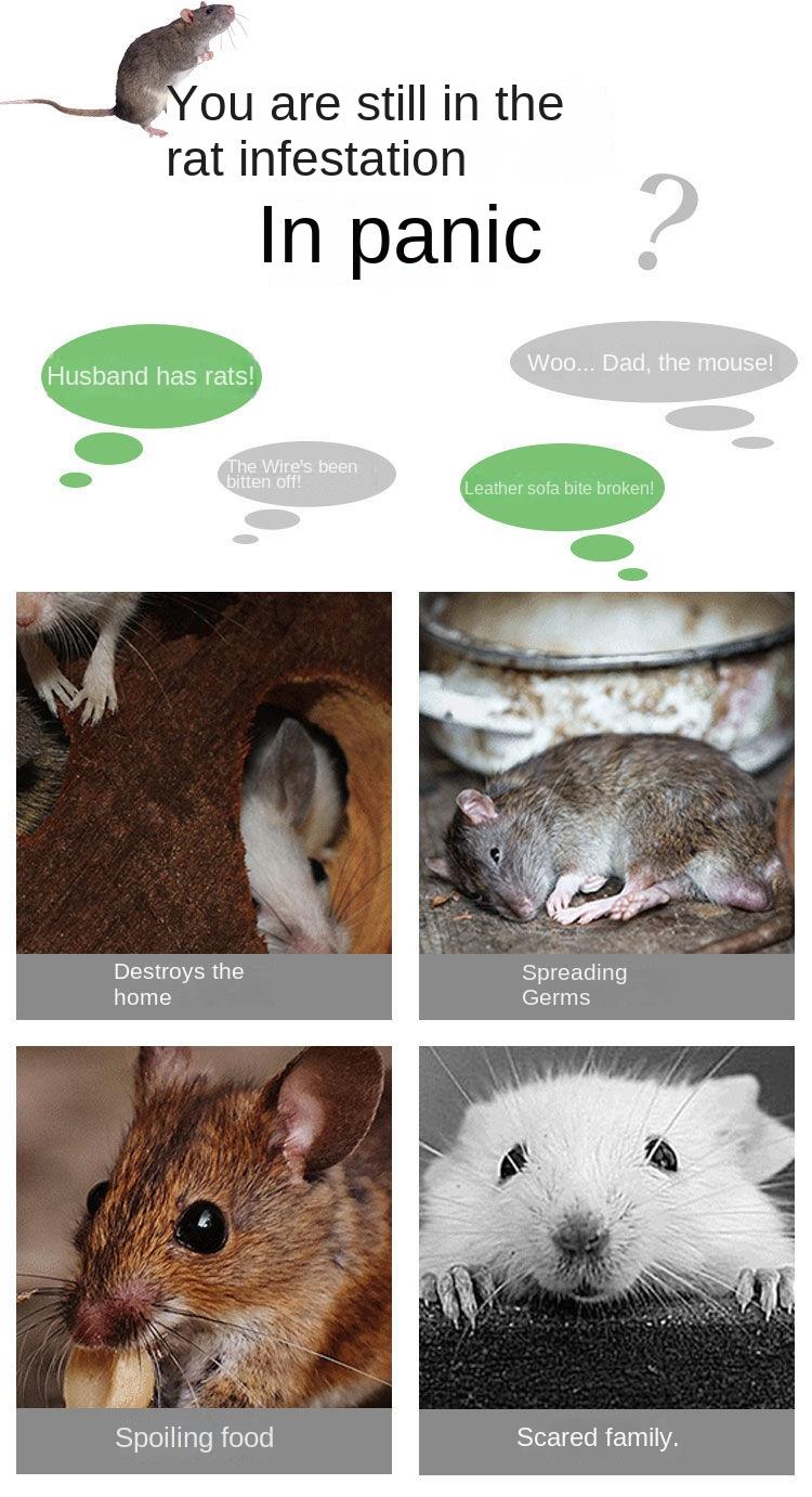Product Introduction of Mouse Cage Mousetrap Mouse Cage To Catch Mice Fully Automatic Mouse Killer Household Mousetrap Sticky Horse 3