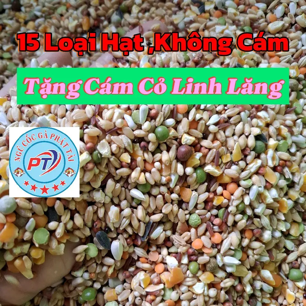10 Kg Ngũ Cốc Gà 15 Loại Hạt,Không Cám(Tặng 2 Bịch Cỏ Linh Lăng Ép Viên)