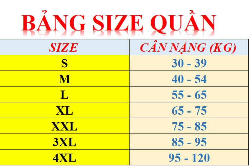 Product Introduction of Quần Thun D.r.e.w Khủng Long X- Menswear Nam Thông thường 0