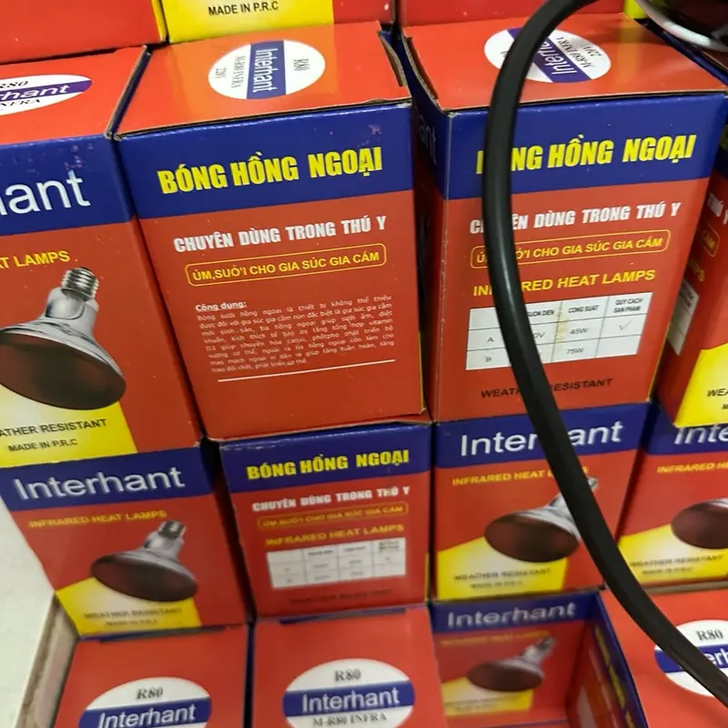 Combo 4 bóng đèn hồng ngoại úm vật nuôi 45w bền và tiết kiệm điện 2