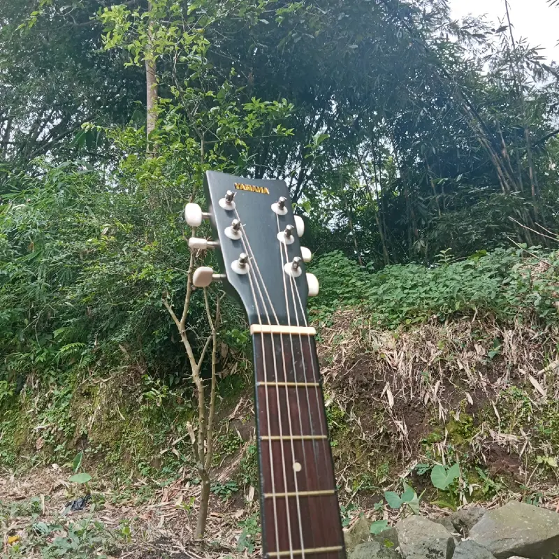 gitar senar ceper dan empuk cocok untuk belajar gitar 5
