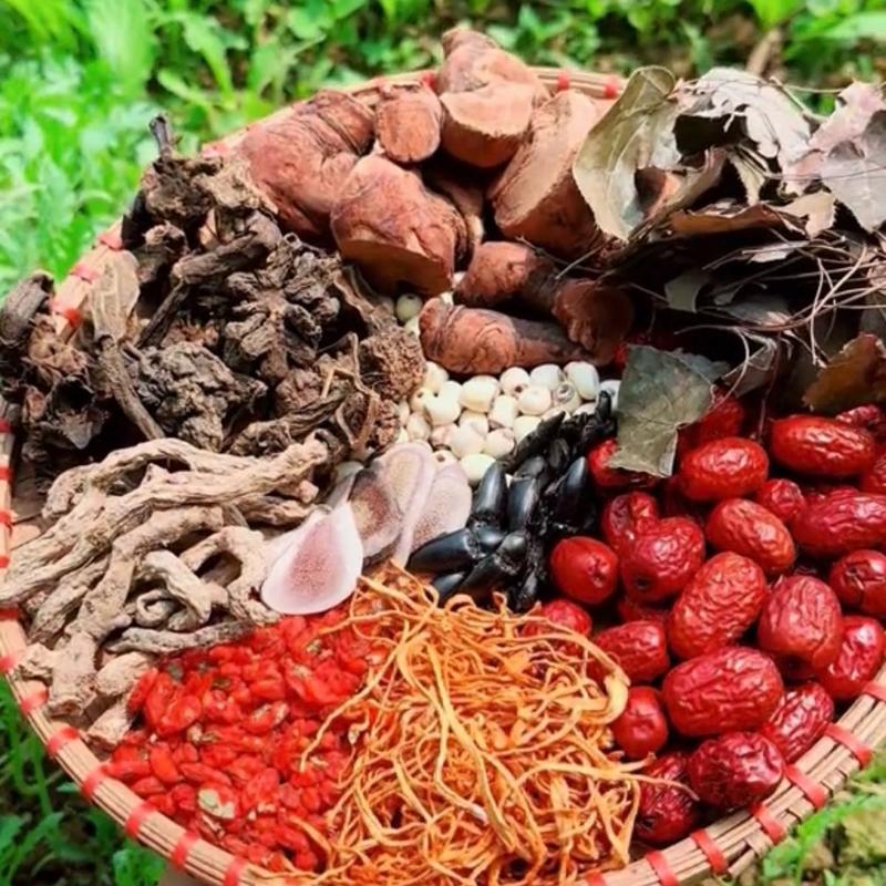  Thập toàn đại bổ bo cui,nhung..Người Tây Bắc bồi bổ cho ae tự nhiên thảo mộc trà 