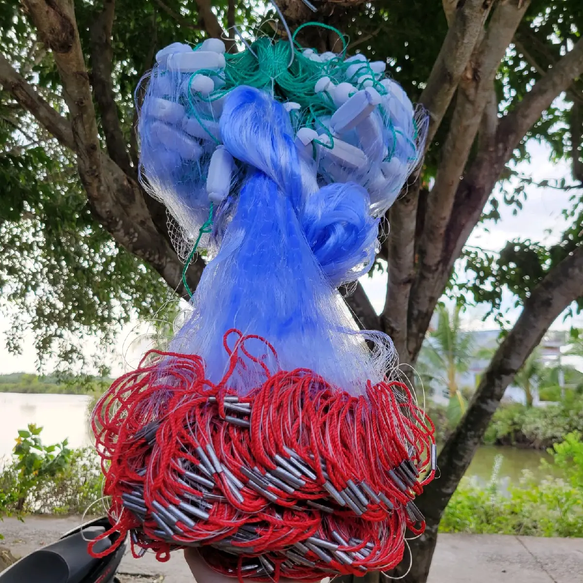[Tường Vi] LƯỚI CÁ ĐỐI, Phao Nổi, Dài 75m, Chì Nặng, 3 Màng, Cước Lưới Mịn 011,Chuyên Thả Biển, Sông, Cá 500g trở về.