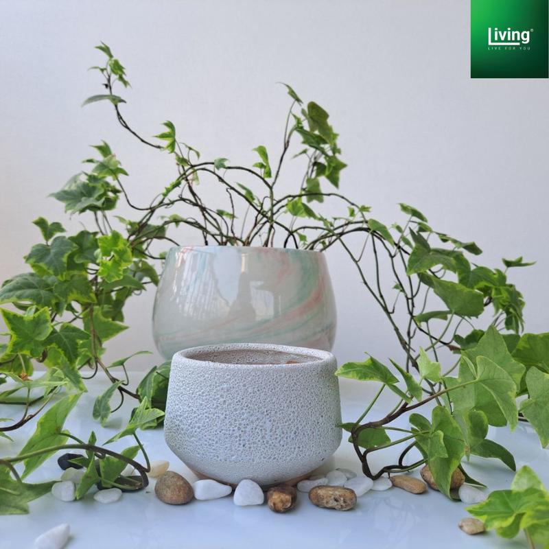 Chậu trồng sen đá, xương rồng, tiểu cảnh sứ Bát Tràng , hình hạt rẻ kích thước 8x7cm. l Living Decor 2