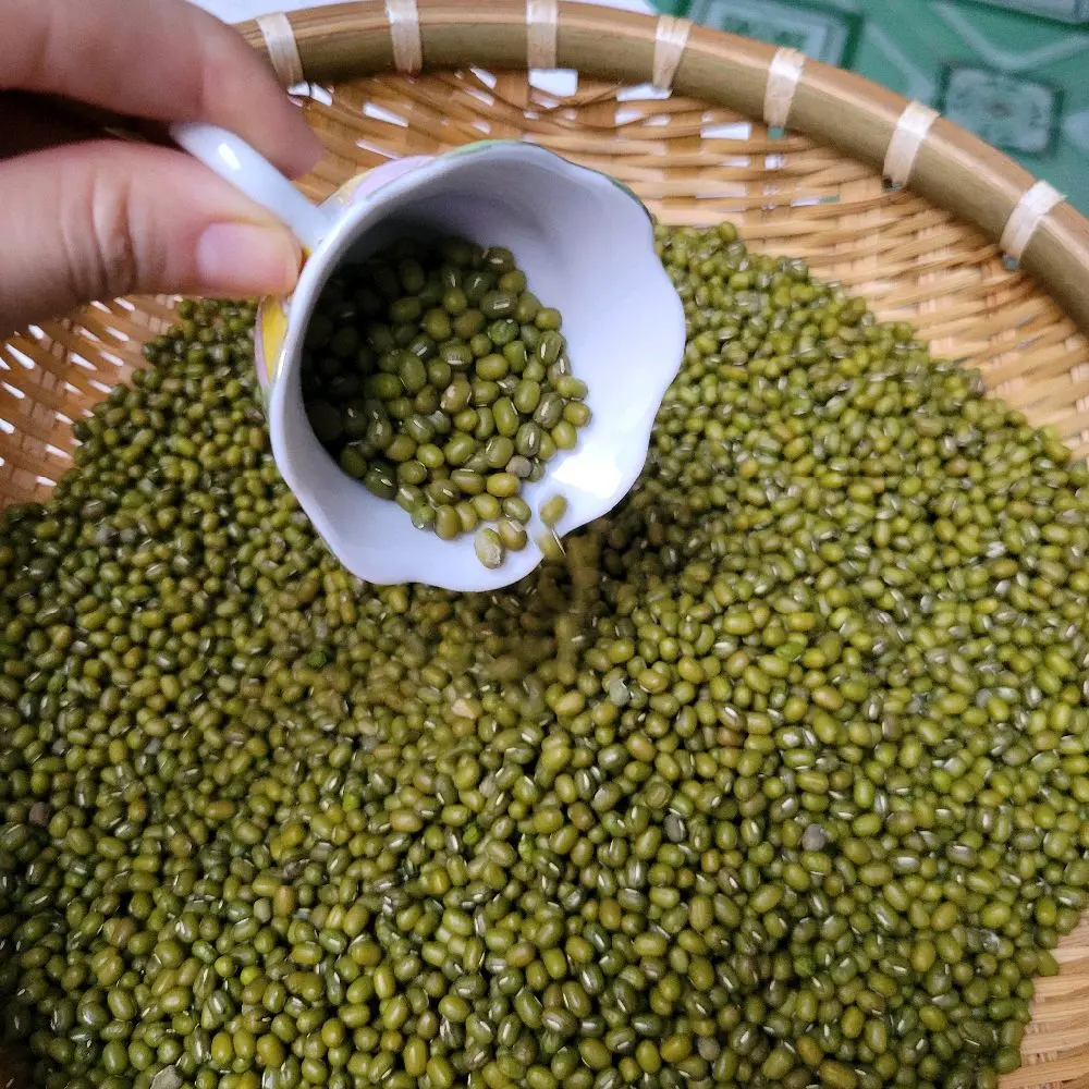 Đậu xanh hạt nhỏ nhà trồng. túi hút chân không 500g và 1 ký. bảo quản được lâu