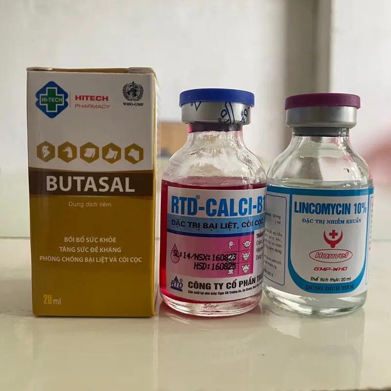 Bộ bại liệt gà đá, yếu chân ( 1 lọ butasal, 1 lọ canxi b12 và 1 lọ lincomycin 10%) 6
