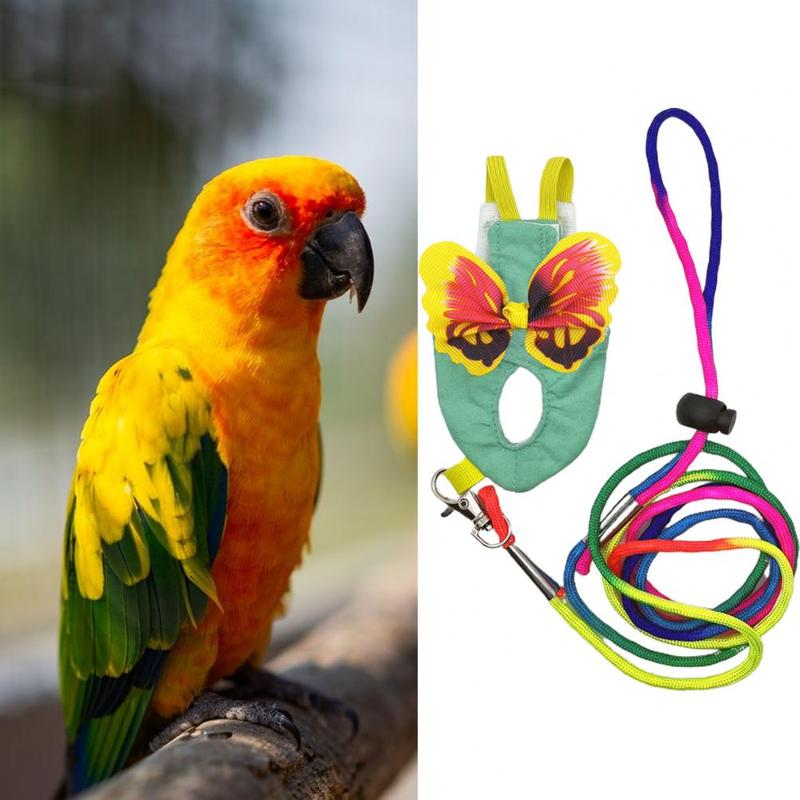 Product Introduction of Parrot Harness Elastic Shoulder Strap Parrot Flight Suit Leak-proof Parrot Flying Vest Parrot Flying Diaper Bird Clothes 13