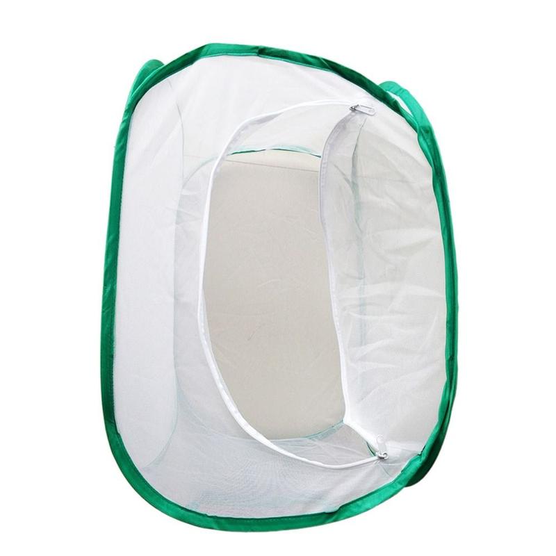 Product Introduction of thetoo Durable Green Collapsible Insect Cage Zipper Opening Feeding Box Plant Insect Screen Insect Habitat Transparent Mesh Reptile Pets Cage Indoor Outdoor 12
