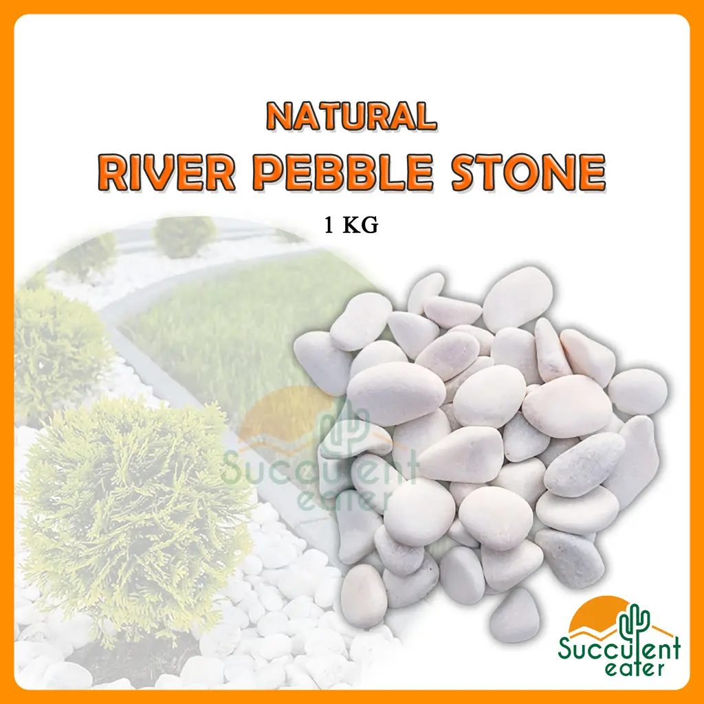 1KG River Pebble Gardening Landscape Decoration Massage Stone Batu Hiasan Putih Refleksologi
