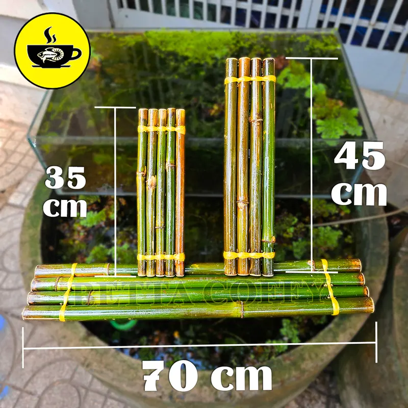 Tổng Hợp Phên Bình Gốm Bơm Nước Tạo Thác Mô Hình Vịt Ông Lão Phụ Kiện Trang Trí Bể Cá Hồ Tiểu Cảnh Hòn Non Bộ 7