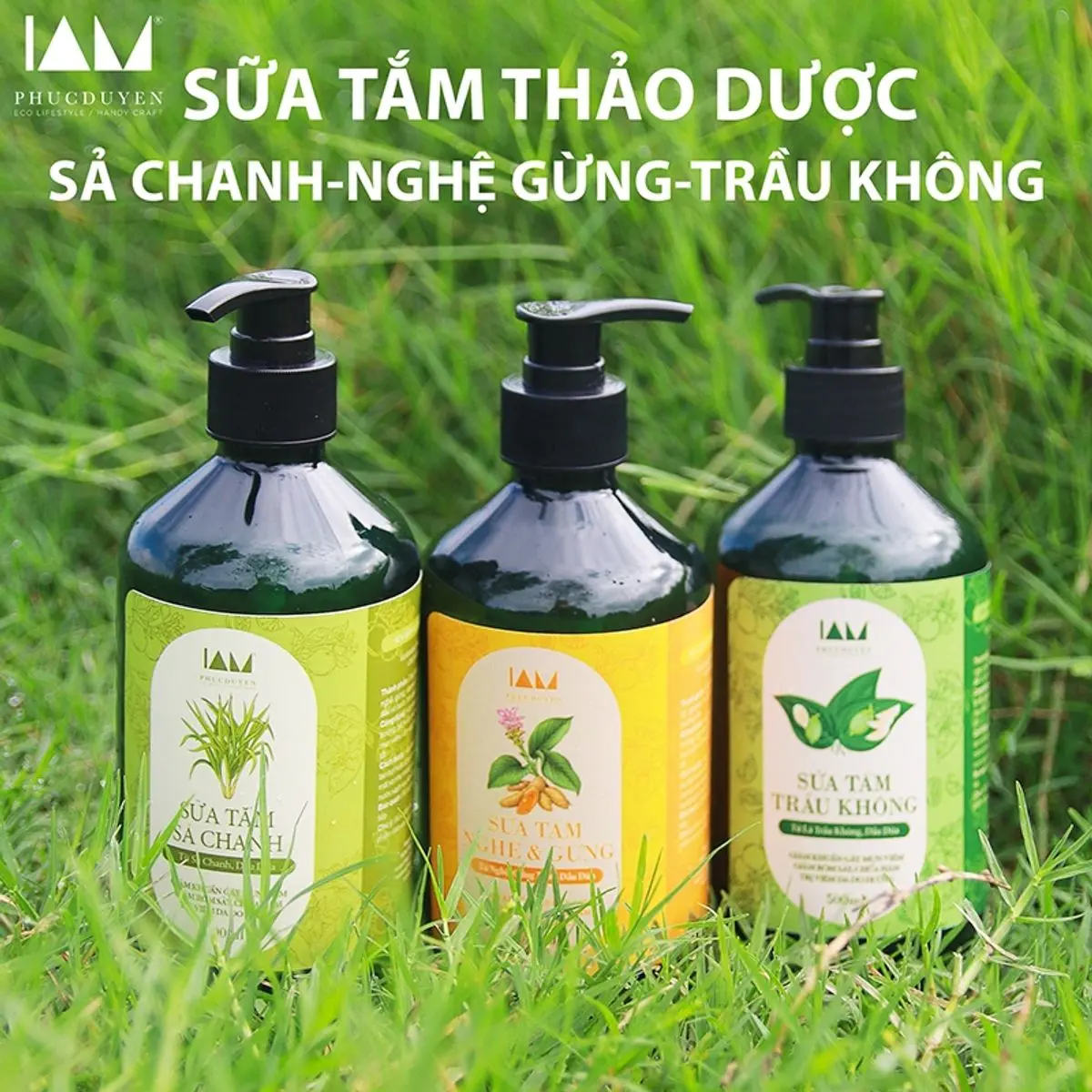 Sữa tắm thảo dượċ ngăn bệnh ngứa da, mụn lưng vẩy nến, bong tróc da do dị ứng 500ml