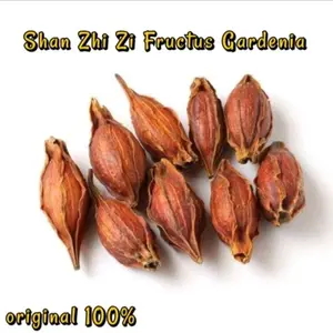 terlaris San Zhi Zi/ Shan Zhi Zi 100 gram / Shanzhizi /Fructus Gardenia Cape Jasmine Fruit 100 gram