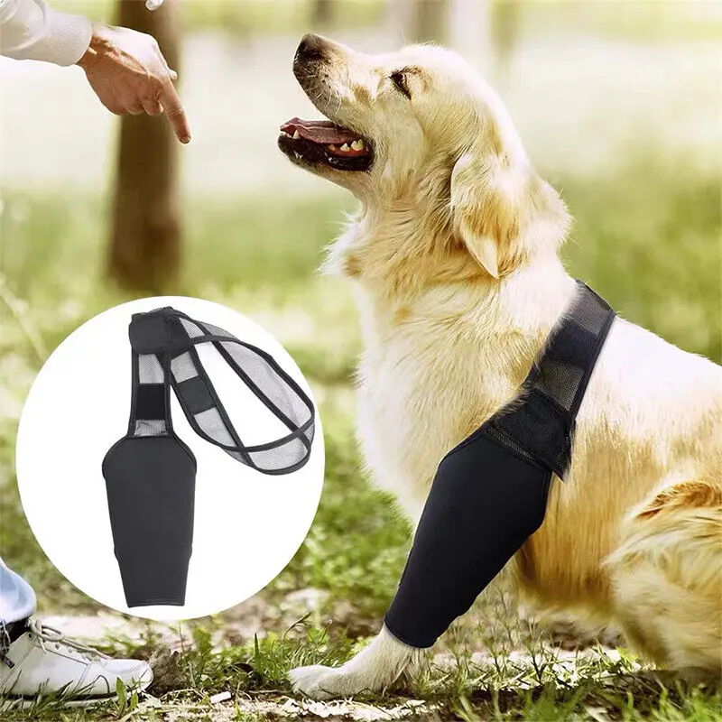 Nẹp Đầu Gối Cho Chó Cưng, Để Bong Gân Và Viêm Khớp, Hỗ Trợ Nẹp Chân Sau, Cho Chó, Giảm Đau Khớp 8